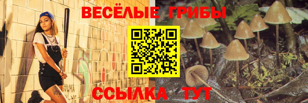Галлюциногенные грибы мухоморы  Псилоцибиновые грибы Cubensis  Вход с VPN  Мирный 