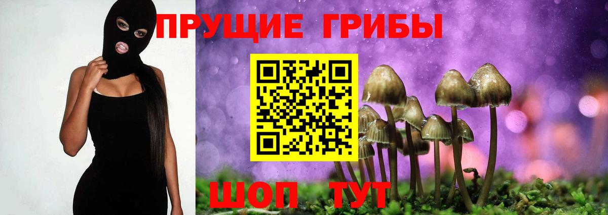 Галлюциногенные грибы мухоморы Мирный
